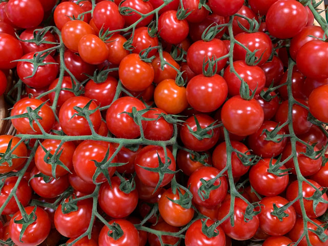 Stevies Italian Foods Tomato Image